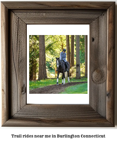 trail rides near me in Burlington, Connecticut